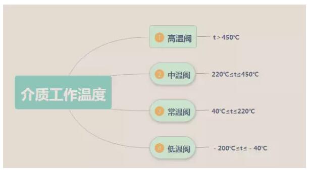 澳门霸王网