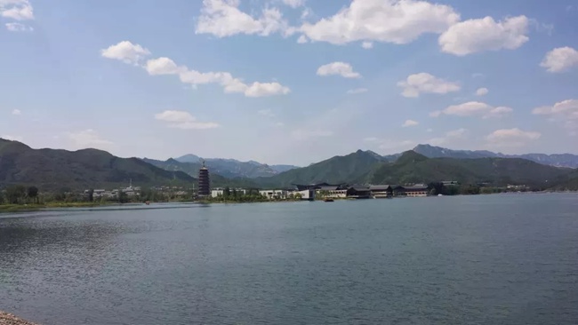 澳门霸王网